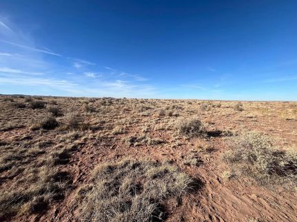 Undeveloped Land in Apache County, Arizona