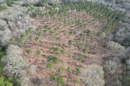 Undeveloped Land for sale in Shelby County, Texas