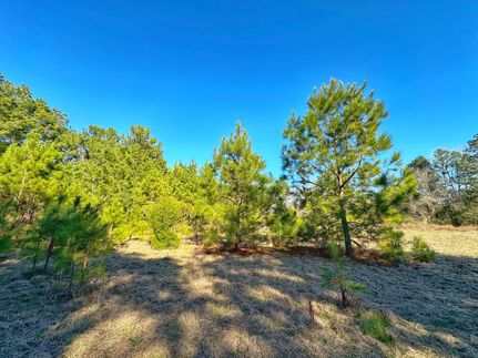 Farm and Ranch for sale in Leon County, Texas
