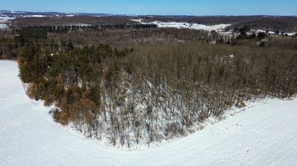 Undeveloped Land in Chippewa County, Wisconsin
