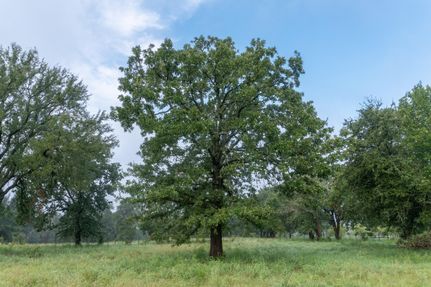 Land in Hood County, Texas