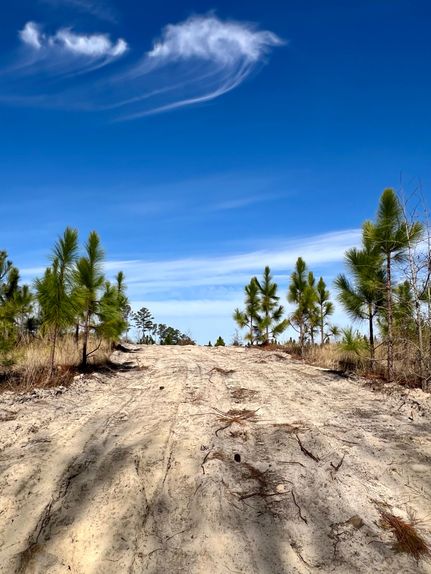 Farm and Ranch for sale in Kershaw County, South Carolina