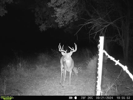 Farm and Ranch in Chautauqua County, Kansas
