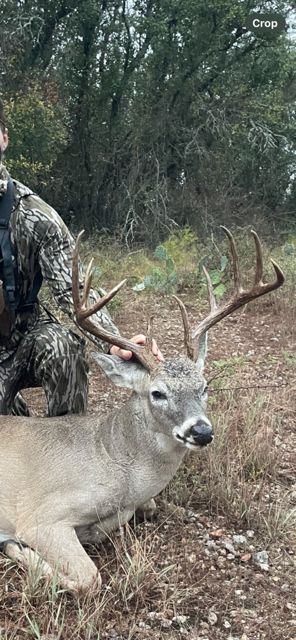 Land for sale in San Saba County, Texas