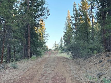 Undeveloped Land in Modoc County, California
