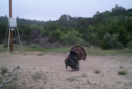 Farm and Ranch in Edwards County, Texas