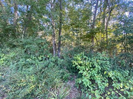 Recreational Property in Angelina County, Texas
