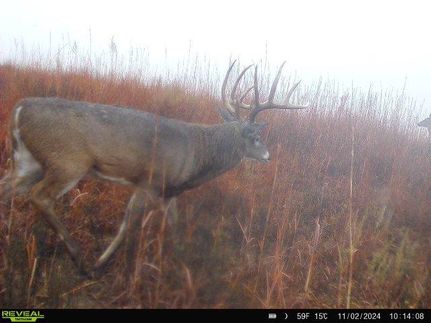 Recreational Property in Comanche County, Kansas