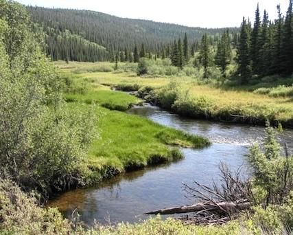Timberland Property in Jackson County, Colorado