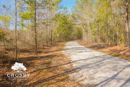 Land in Orangeburg County, South Carolina