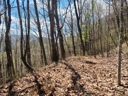 Land for sale in Haywood County, North Carolina