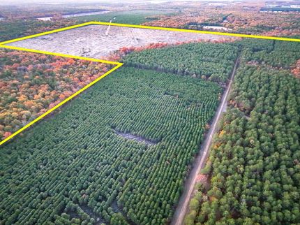 Undeveloped Land for sale in Red River County, Texas
