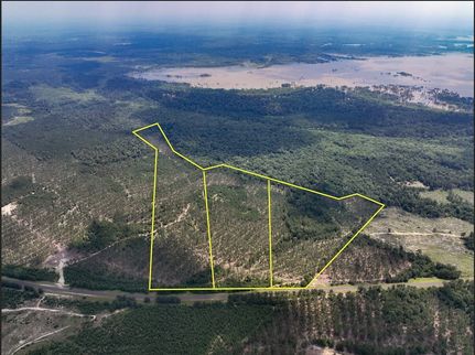 Undeveloped Land in Tyler County, Texas