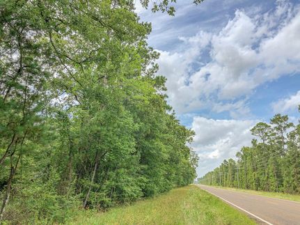 Undeveloped Land in Trinity County, Texas