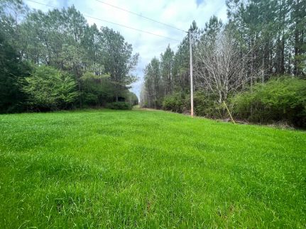 Farm and Ranch for sale in Butler County, Alabama