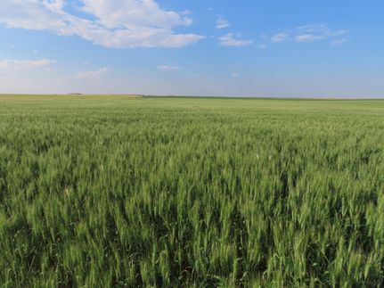 Land in Ward County, North Dakota