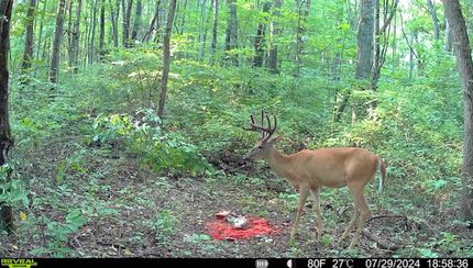 Farm and Ranch in Washington County, Indiana