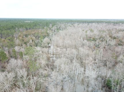 Land in Allen Parish, Louisiana