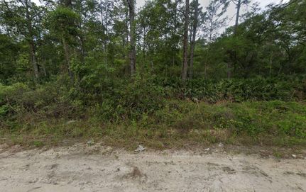 Timberland Property in Putnam County, Florida