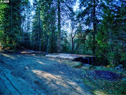 Undeveloped Land in Douglas County, Oregon