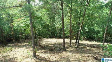 Undeveloped Land in Randolph County, Alabama
