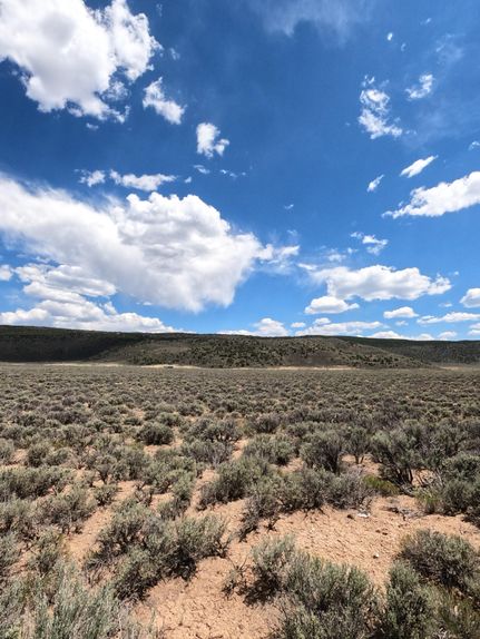 Undeveloped Land in Costilla County, Colorado