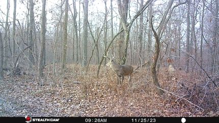 Recreational Property in Clark County, Illinois