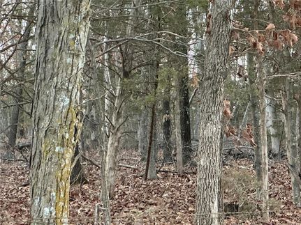 Land in Gasconade County, Missouri