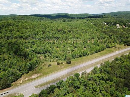 Undeveloped Land in Blount County, Alabama
