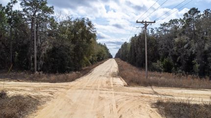Undeveloped Land in Putnam County, Florida