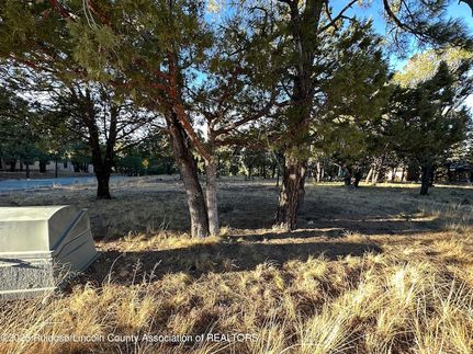 Land in Lincoln County, New Mexico