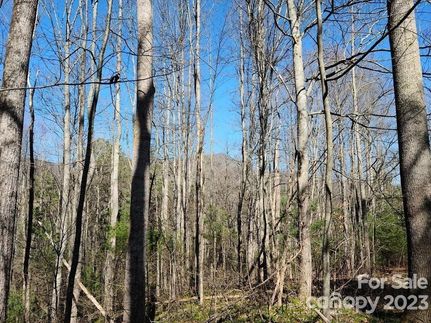Land for sale in Haywood County, North Carolina
