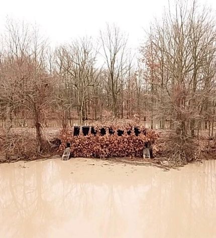 Farm and Ranch in Poinsett County, Arkansas