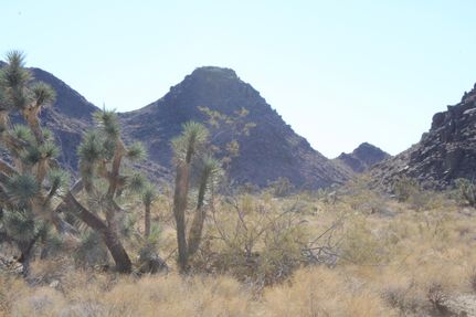 Land in Mohave County, Arizona