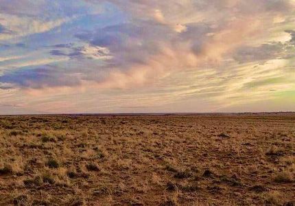 Land for sale in Navajo County, Arizona