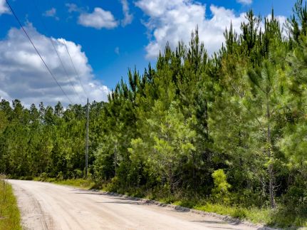 Land in Lafayette County, Florida