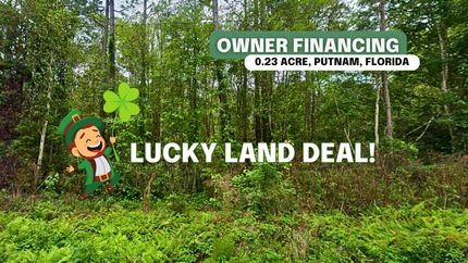 Undeveloped Land in Putnam County, Florida