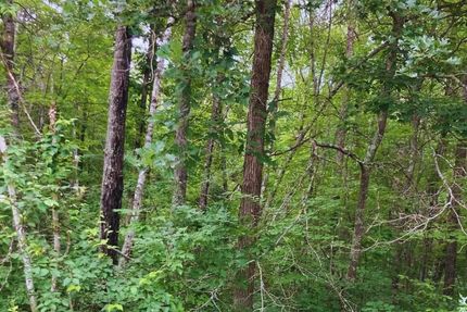 Undeveloped Land in Mille Lacs County, Minnesota