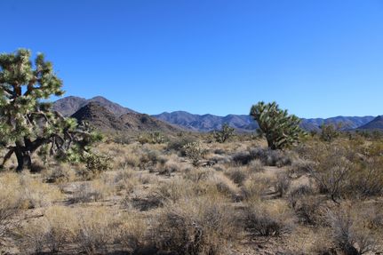 Undeveloped Land in Mohave County, Arizona