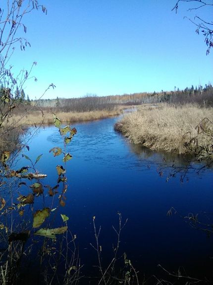 Timberland Property for sale in Aroostook County, Maine