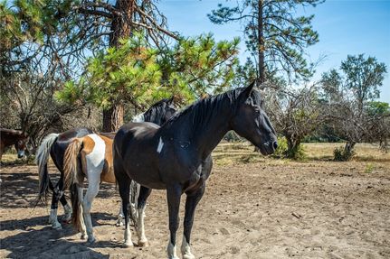 Land in Missoula County, Montana
