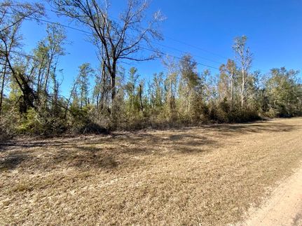 Undeveloped Land in Madison County, Florida