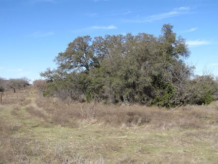 Undeveloped Land in Comanche County, Texas