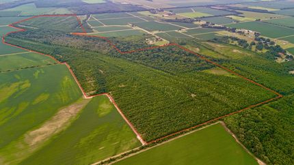 Farm and Ranch in Desha County, Arkansas