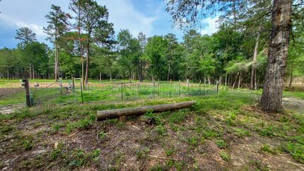Undeveloped Land in Walker County, Texas