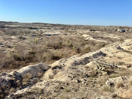 Hunting Property in San Patricio County, Texas