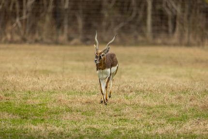 Recreational Property for sale in Gregg County, Texas
