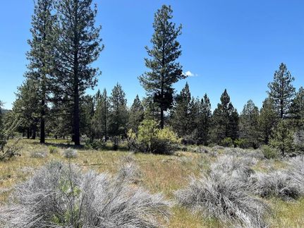 Undeveloped Land in Klamath County, Oregon