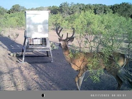 Farm and Ranch in Crockett County, Texas