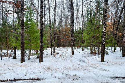 Farm and Ranch in Vilas County, Wisconsin